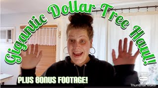 XXL Dollar Tree Haul 🛍️ Plus Bonus Amazing Finds October 23 2024 [upl. by Daiz]