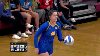 Wayzata vs Champlin Park Section 5AAA Girls High School Volleyball [upl. by Lauryn989]