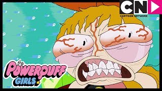 Powerpuff Girls  Blossom Gets ANGRY 😤  Cartoon Network [upl. by Kelsey]