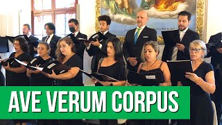 Ave verum corpus  Mozart letra e tradução [upl. by Nevi]