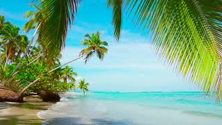 4k Palm Forest on the Beach Relaxing Ocean Waves Nature Sounds Ocean Sounds for Sleep Meditation [upl. by Eki]