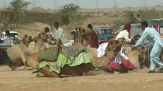 Jaisalmer Desert Festival [upl. by Suirauqram]