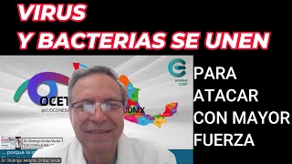 VIRUS Y BACTERIAS SE UNEN [upl. by Ailedroc865]