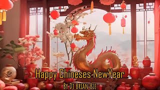 Nonstop Gong Xi Fa Chai Electro Manyao By Dj Brian Bie dj抖音版2024 remixmanyao [upl. by Reidid]