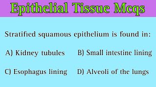 Epithelial Tissue Mcq  epithelial tissue mcq class 11 [upl. by Ivie]