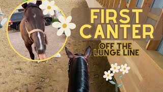 FIRST CANTER BEST RIDE EVER  GORPRO RIDE WITH ME [upl. by Faydra]