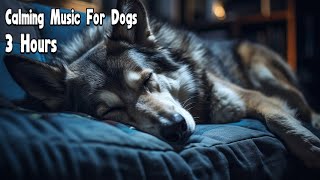 🐶🏠❤3 Hours Anti Anxiety Music For Dogs 🐶 Stress Relief Music For Dogs ♬ Calming Music For Dogs [upl. by Osnofla]