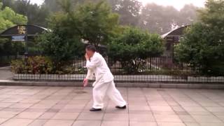 Traditional Wu Style Taijiquan by Master Lin Jianquan [upl. by Gallard]