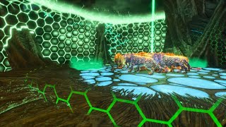 ARK Survival Ascended  Gamma Ascension Cave Pyromane Single Player [upl. by Aihseken]