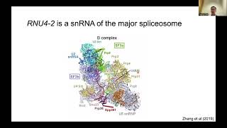 Genomics England Research Seminar May 20224  Yuyang Chen and Daniel Greene [upl. by Lou877]