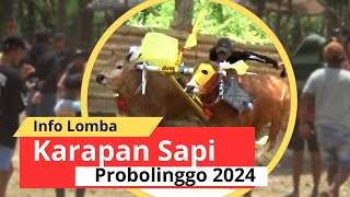 Info Jadwal Karapan Sapi DI Probolinggo 2024  Gagak Rimang Team [upl. by Staley]