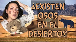 ¡¿OSOS en el DESIERTO [upl. by Carlick]