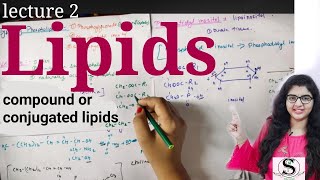 Lipids lecture 2  Biomolecules  Compound lipids  lipids biochemistry  lipids classification [upl. by Woolson513]