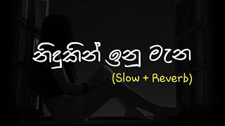 Nidukin Inu Mana නිදුකින් ඉනු මැන  Slow  Reverb supunzstudio [upl. by Xanthus]