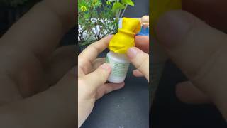 Ingenious idea how to make flexible water filter tap from plastic bottle diy tips lifehacks [upl. by Nhguavad564]