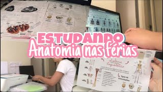 ENFVLOG REVISANDO ANATOMIA  FAZENDO MAPA MENTAL [upl. by Adnuhsat]