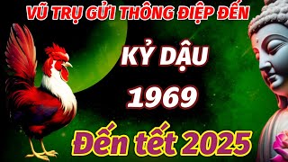 SỰ THẬT THÔNG ĐIỆP VÀNG VŨ TRỤ GỬI TUỔI KỶ DẬU 1969 TỪ NAY ĐẾN TẾT NGUYÊN ĐÁN 2025 TRỞ MÌNH CỰC GIÀU [upl. by Willette862]