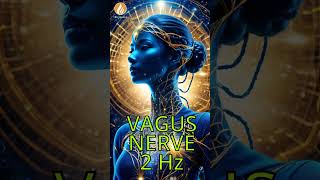 Discover the Benefits of Vagus Nerve Activation with 2 Hz  90 Hz Frequency Music [upl. by Eirollam499]