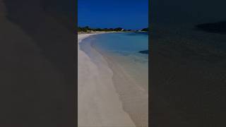 nature aruba youtubeshorts viralvideo 🇦🇼🌺💙 [upl. by Major]