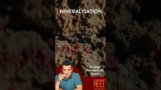 Mineralisation  process amp types of mineralisation  Ecosystem  class 12th  NEET BIOLOGY neet [upl. by Friederike]