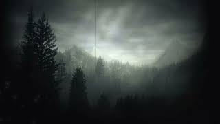 Forest of the Taken  Dark Ambient Horror Soundscape ASMR  Alan Wake Nightmarish Rendition [upl. by Spieler]