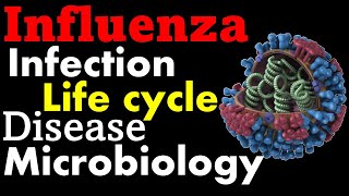 Influenza virus structure infection and replication [upl. by Tronna745]