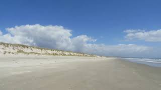 Endless white beach in Waipu Paradise is 12 km of milky sand [upl. by Nottap]