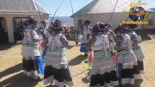 IsiXhosa Traditional singing and dance Umngqungqo [upl. by Phonsa972]