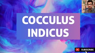 COCCULUS INDICUS  DrAbhishekChoudhary [upl. by Pacificia]