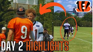 The Cincinnati Bengals Just Got GREAT News Regarding 2 ROOKIES At OTAs  Bengals News [upl. by Bennett653]