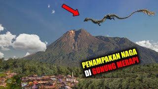 Penampakan Makhluk Mitos NAGA Yang Ternyata Ada Di Kehidupan Nyata [upl. by Rorie387]