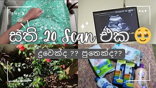 20th Week Scan Vlog  බබා දුවෙක්ද පුතෙක්ද 💗💙  Pregnancy Vlogs Sinhala [upl. by Mcgray]