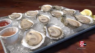 Restaurant in Duxbury Mass boasts a scenic raw bar and oyster farm [upl. by Aerdnu]