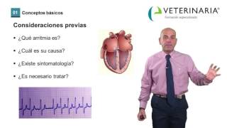 Arritmias Cardiacas  Demo curso cardiología veterinaria [upl. by Loy]