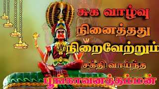 பூங்காவனத்தம்மன் பாடல்  Poongavanathamman pambai padal [upl. by Mahseh414]