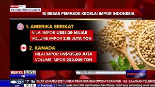 10 Besar Negara Pemasok Kedelai ke Indonesia [upl. by Servetnick968]