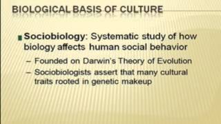 Sociobiology [upl. by Nate642]