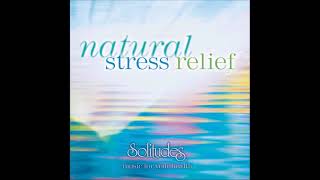 Natural Stress Relief Music for Your Health  Dan Gibson amp David Bradstreet [upl. by Nivlak]