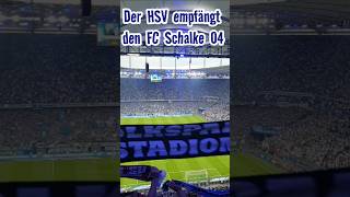 22 20 HSV spielt gegen Schalke 04 remis shorts [upl. by Llenwahs]