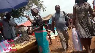 VILLAGE MARKET DAY in my african village villagelife [upl. by Anaeco]