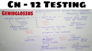 Hypoglossal Nerve Testing  Safety Muscle of Tongue  The Charsi of Medical Literature [upl. by Sillert535]