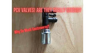 PCV Valves Are They Really Needed [upl. by Assilram117]