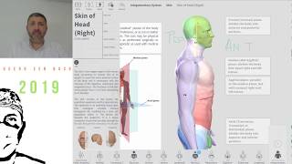 QSB2019 AULA 01 ANATOMIA APLICADA PARA CIRURGIA E TRAUMATOLOGIA BUCOMAXILOFACIAL [upl. by Linzy]