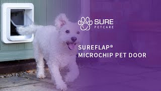 The SureFlap® Microchip Pet Door [upl. by Refiffej13]