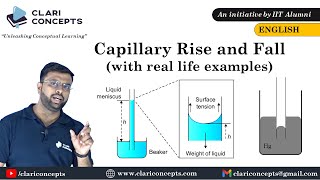 Capillary Rise and Fall explained with real life example English [upl. by Three]