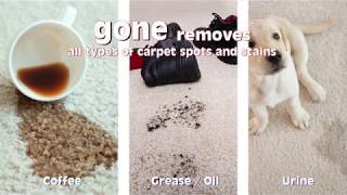 GONE Carpet Stain Remover Demonstration [upl. by Aidne]