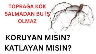 Emeklilik Hayal Oldu Kök Salmadan Olmaz Taraf Olmayan Bertaraf Olur Parayı Büyütmeyen Kaybedecek [upl. by Winchester]