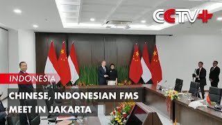 Chinese Indonesian FMs Meet in Jakarta [upl. by Llatsyrc]