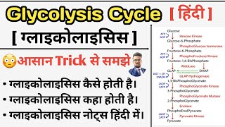 Glycolysis Cycle  Glycolysis Pathway  Carbohydrates Metabolism  Glycolysis in hindi  Glycolysis [upl. by Suh]