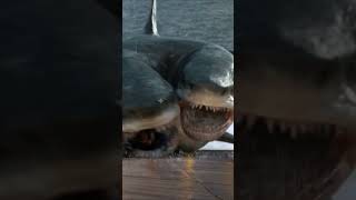 3Headed Shark Attack VFX by CKVFX Steve Clarke amp Paul Knott  PART 3 [upl. by Drida619]